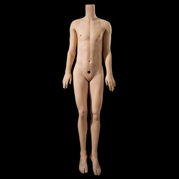 Female Bodies, Medium-sized